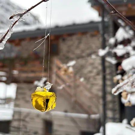 게스트하우스 Riverside Pierre 3*